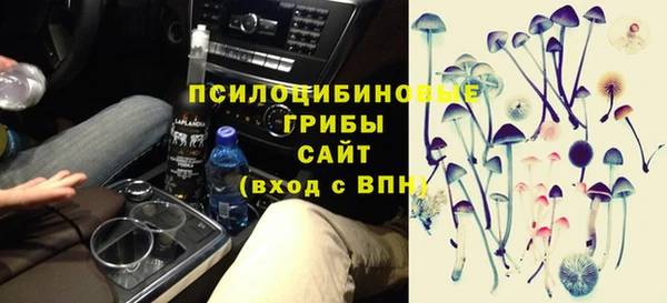 стаф Абаза
