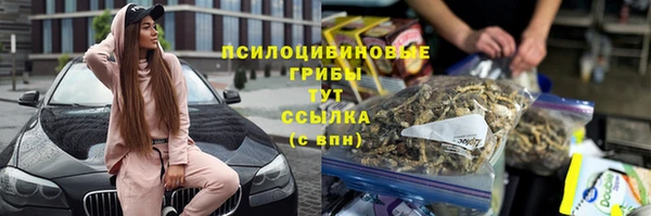 стаф Абаза